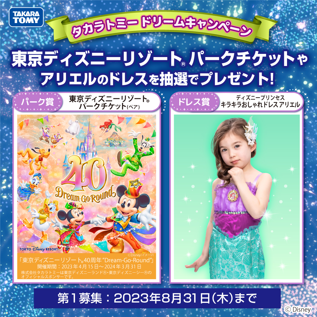 ディズニーペアチケット  期日近いです！