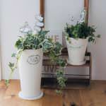 フェイクグリーン　イメージ