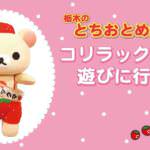栃木のとちおとめ大使のコリラックマが登場