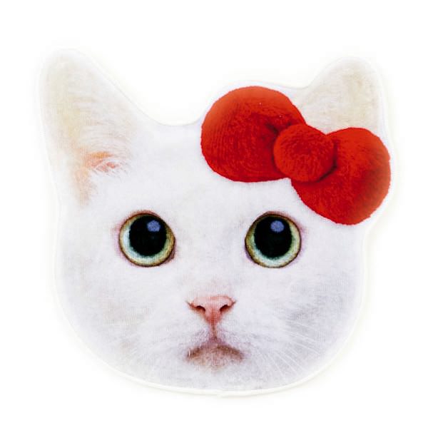 人気タレント白猫とのコラボグッズ サンリオ Hello Kitty あなごちゃん Dtimes