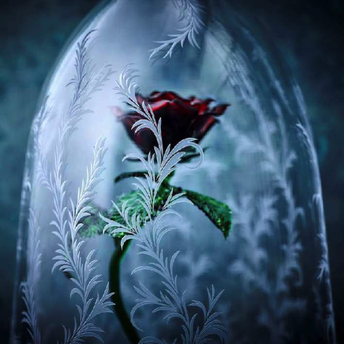 美しすぎる 美女と野獣 の魔法のバラ 日比谷花壇 ディズニー ガラスドーム La Rose ラ ローズ Dtimes
