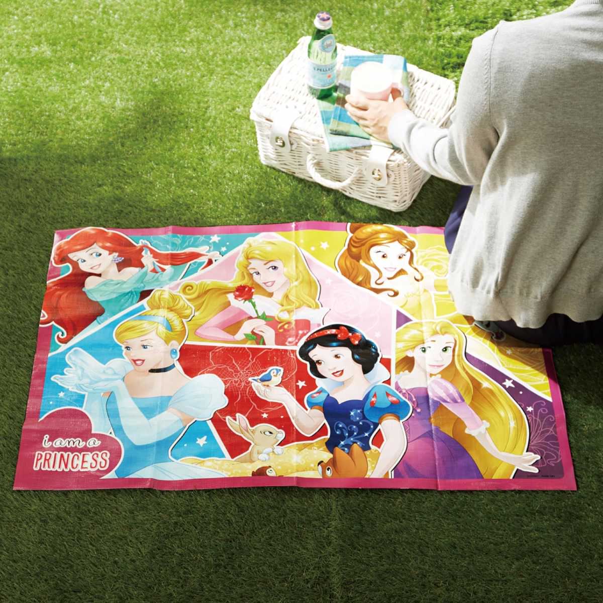 レジャーシート　プリンセス　使用イメージ