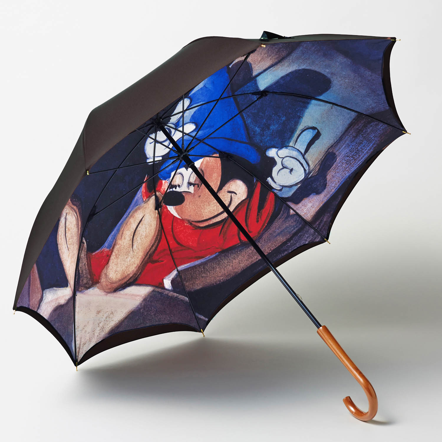日本製１枚プリントの二重張り雨傘2