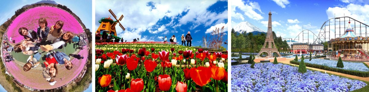 春の富士山を彩る3大花イベント合同フォトコンテスト