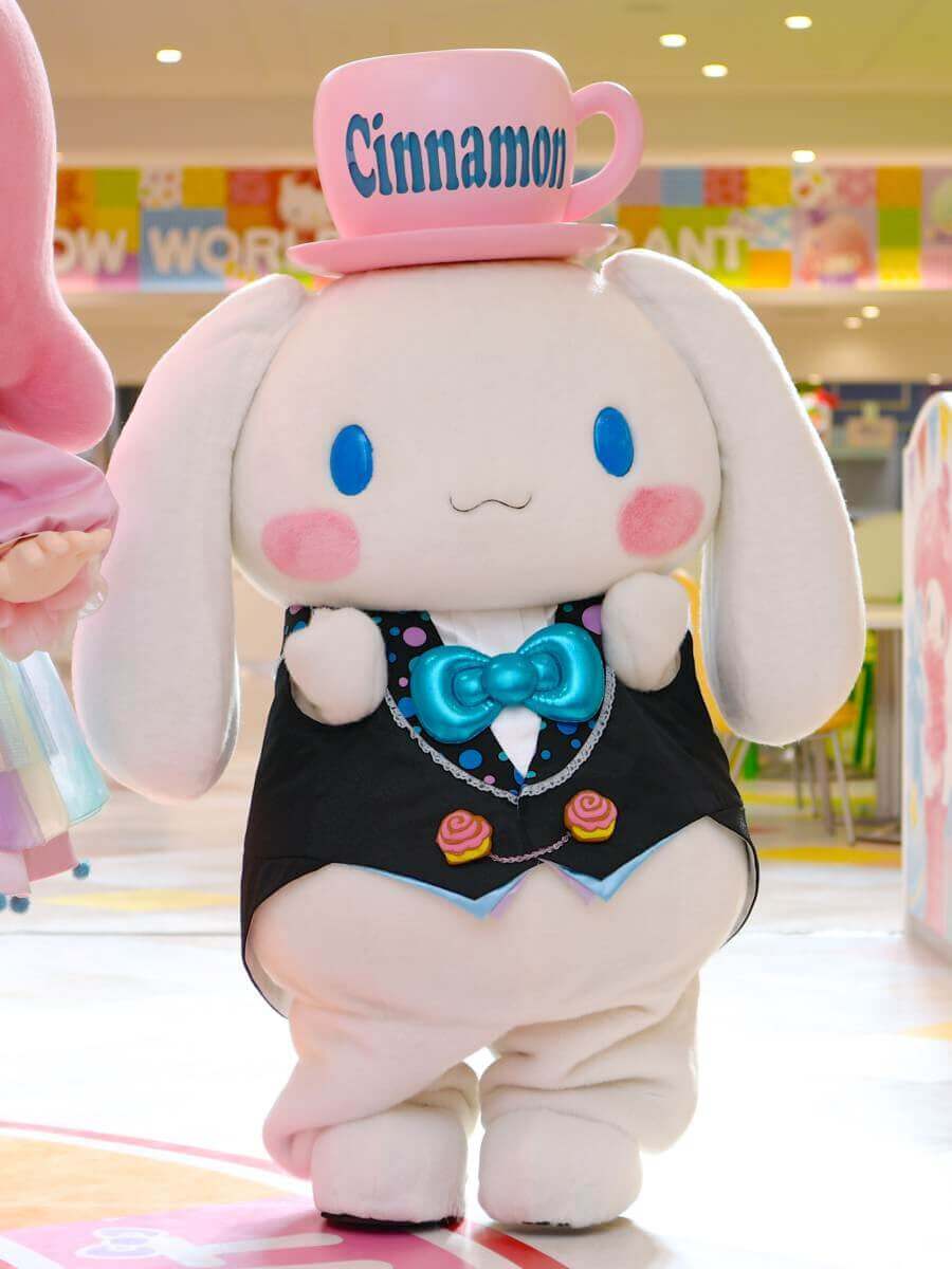 シナモン Dtimes