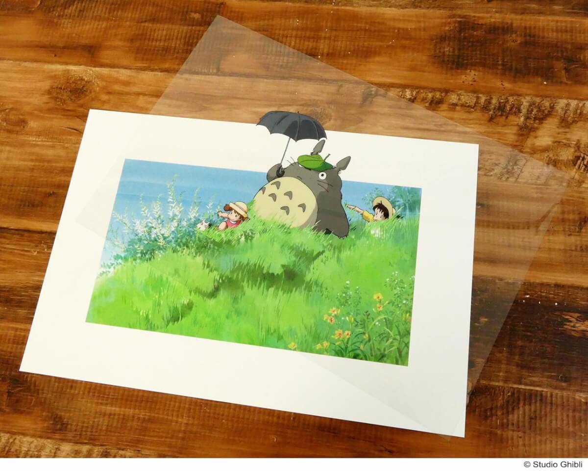 ファン必見の数量限定商品 どんぐり共和国 複製セル画 Cel Art Print From Studio Ghibli となりのトトロ Dtimes