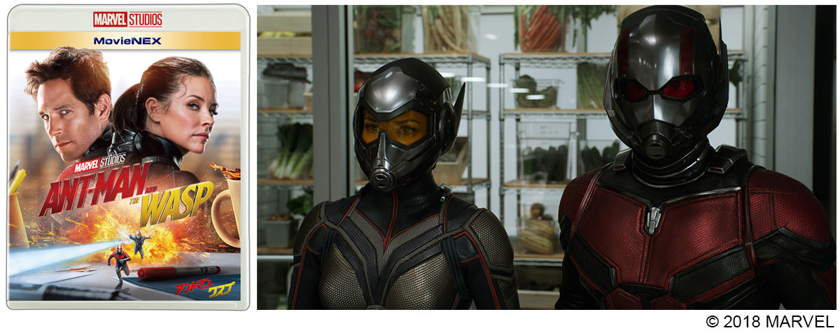 MARVEL「アントマン&ワスプ」MovieNEX