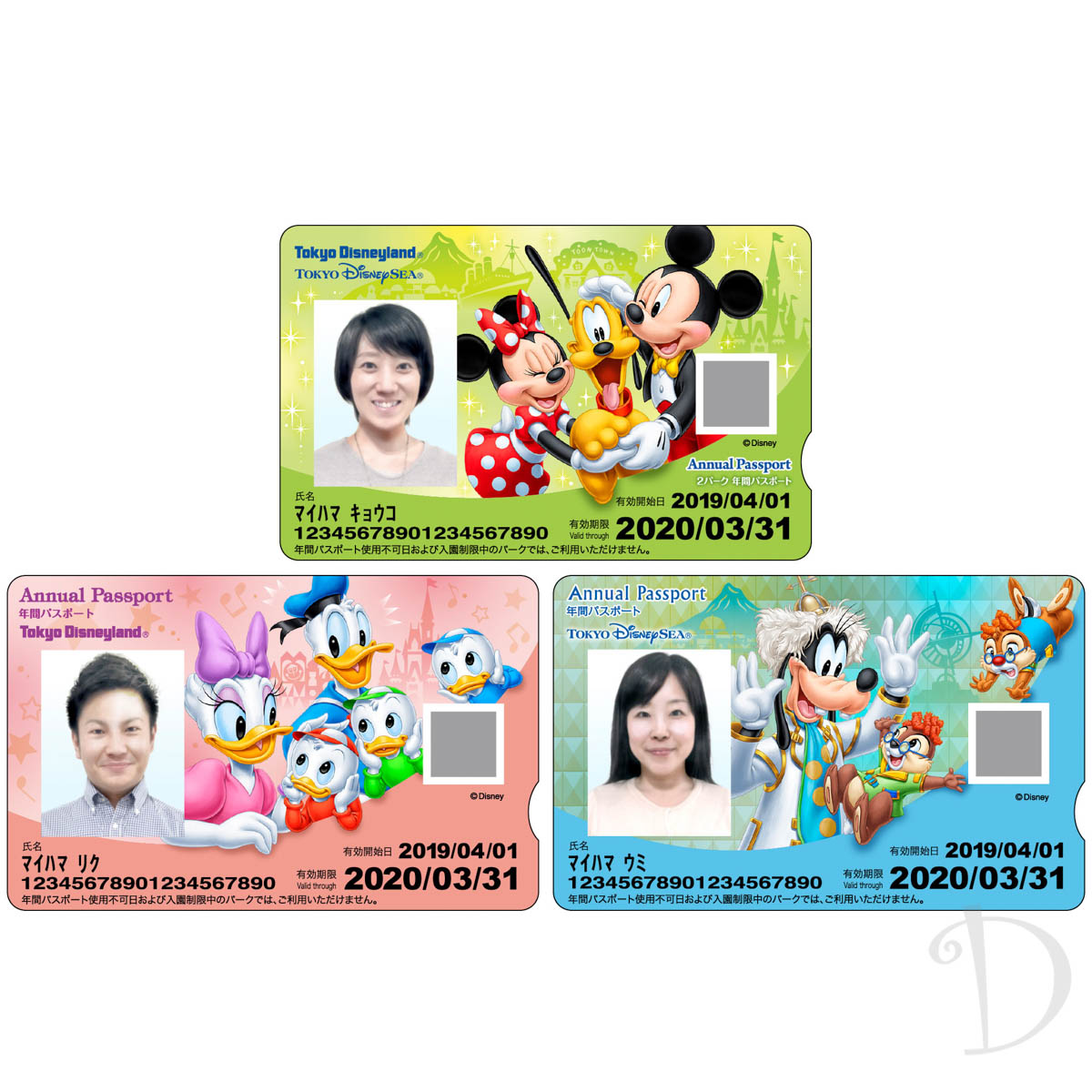 東京ディズニーリゾート2パーク年間パスポート引換券施設利用券