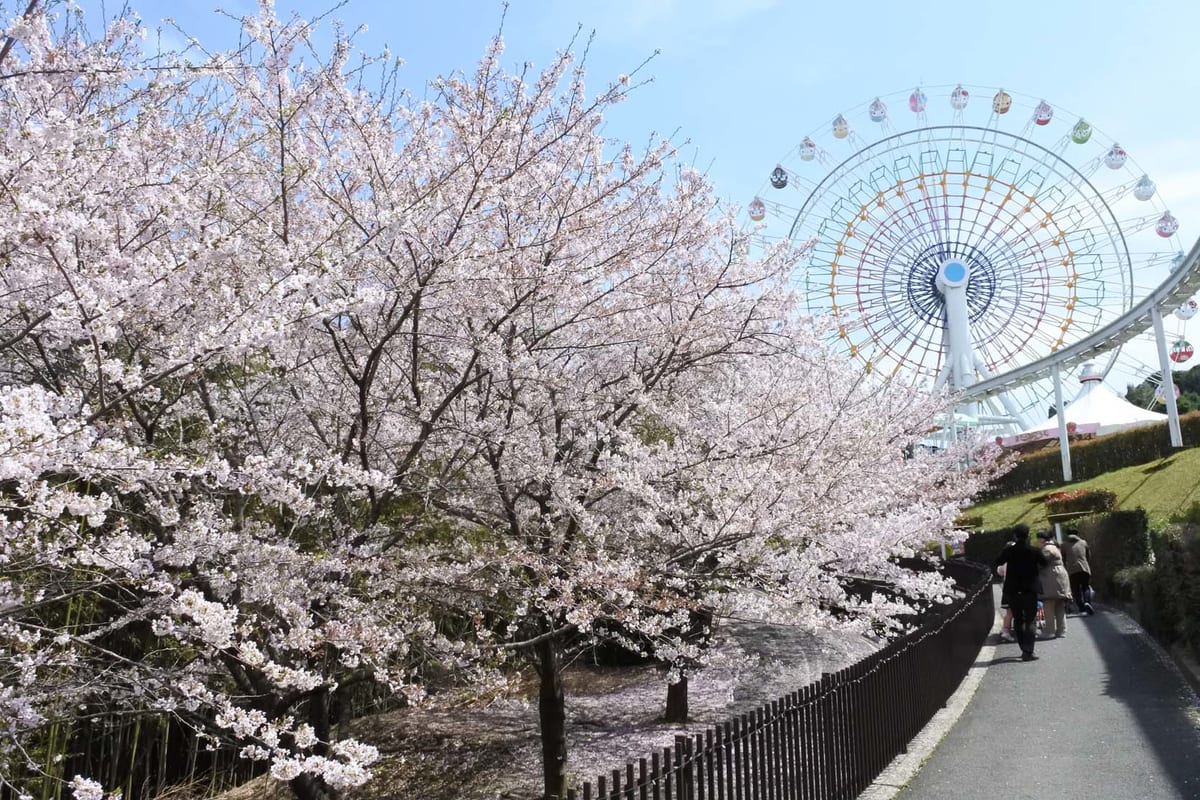 3月下旬～4月上旬は園内各所の約500本の桜も見頃に！-2