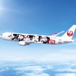 JAL DREAM EXPRESS 90｢日帰りチャーターフライトツアー｣