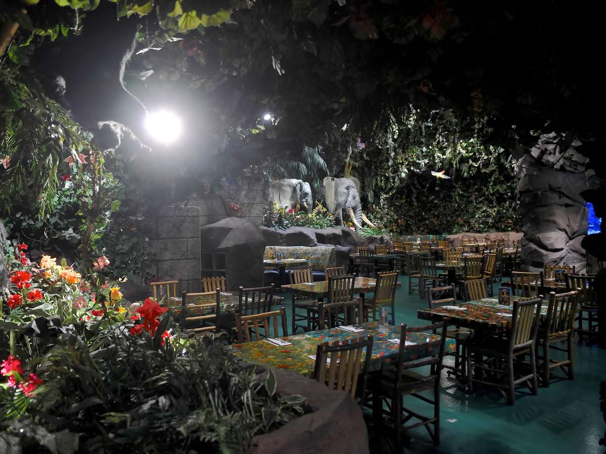 ジャングルがテーマのレストラン イクスピアリ レインフォレスト カフェ Dtimes