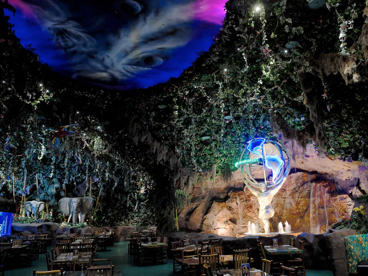 ジャングルがテーマのレストラン イクスピアリ レインフォレスト カフェ Dtimes