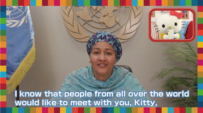 アミーナ・モハメッド国連副事務総長との テレビ電話の様子