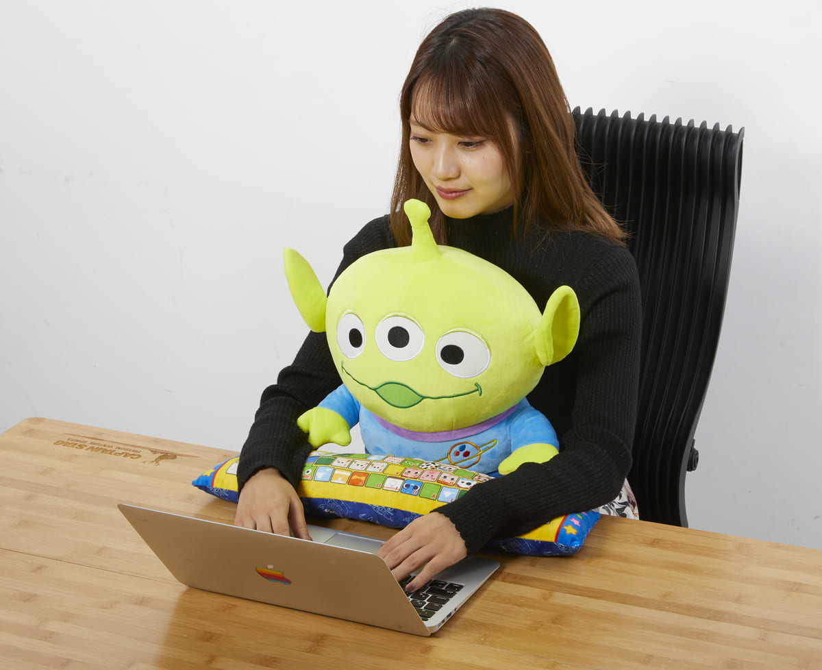 使用イメージ