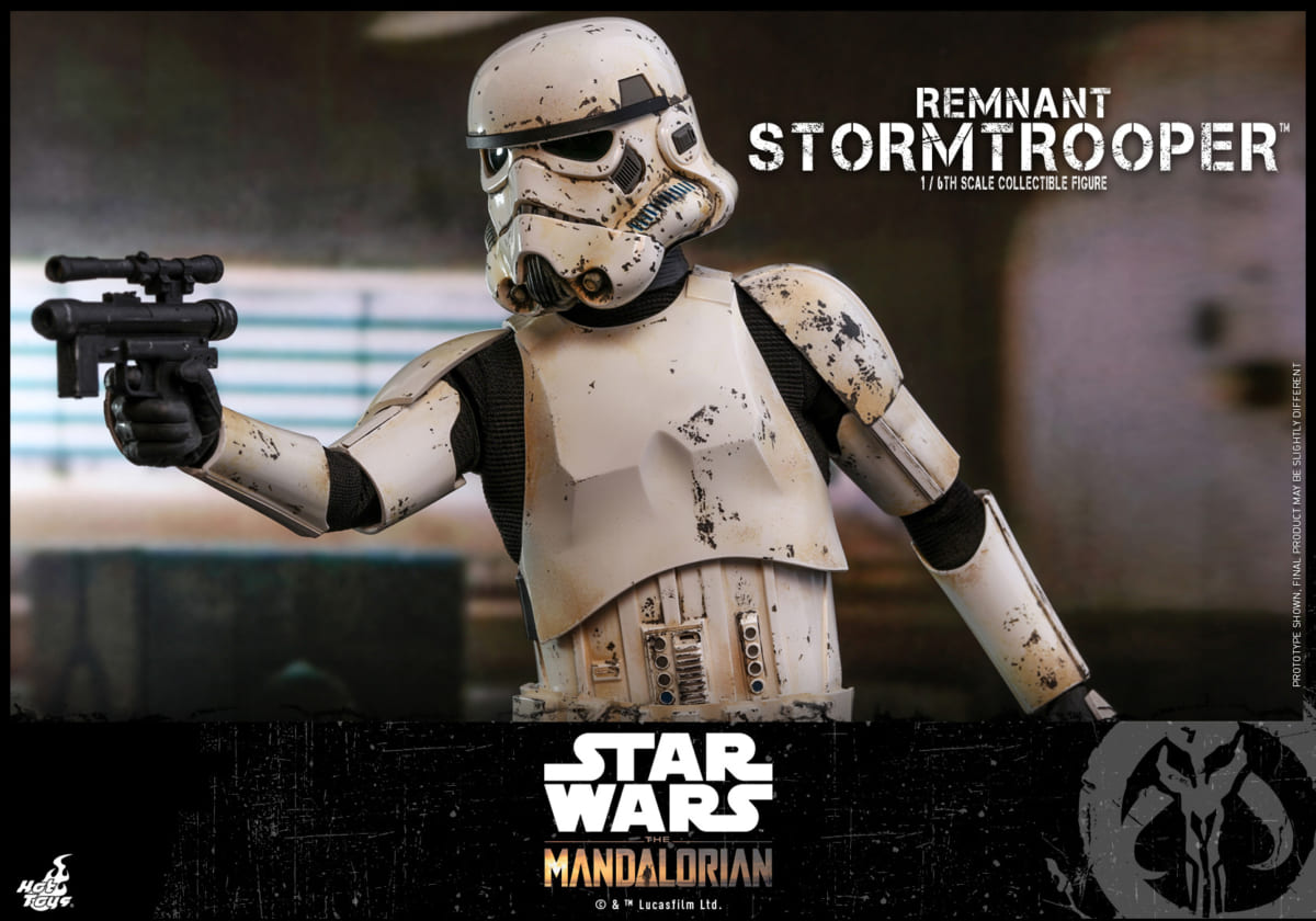 Remnant Stormtrooper 12 Dtimes