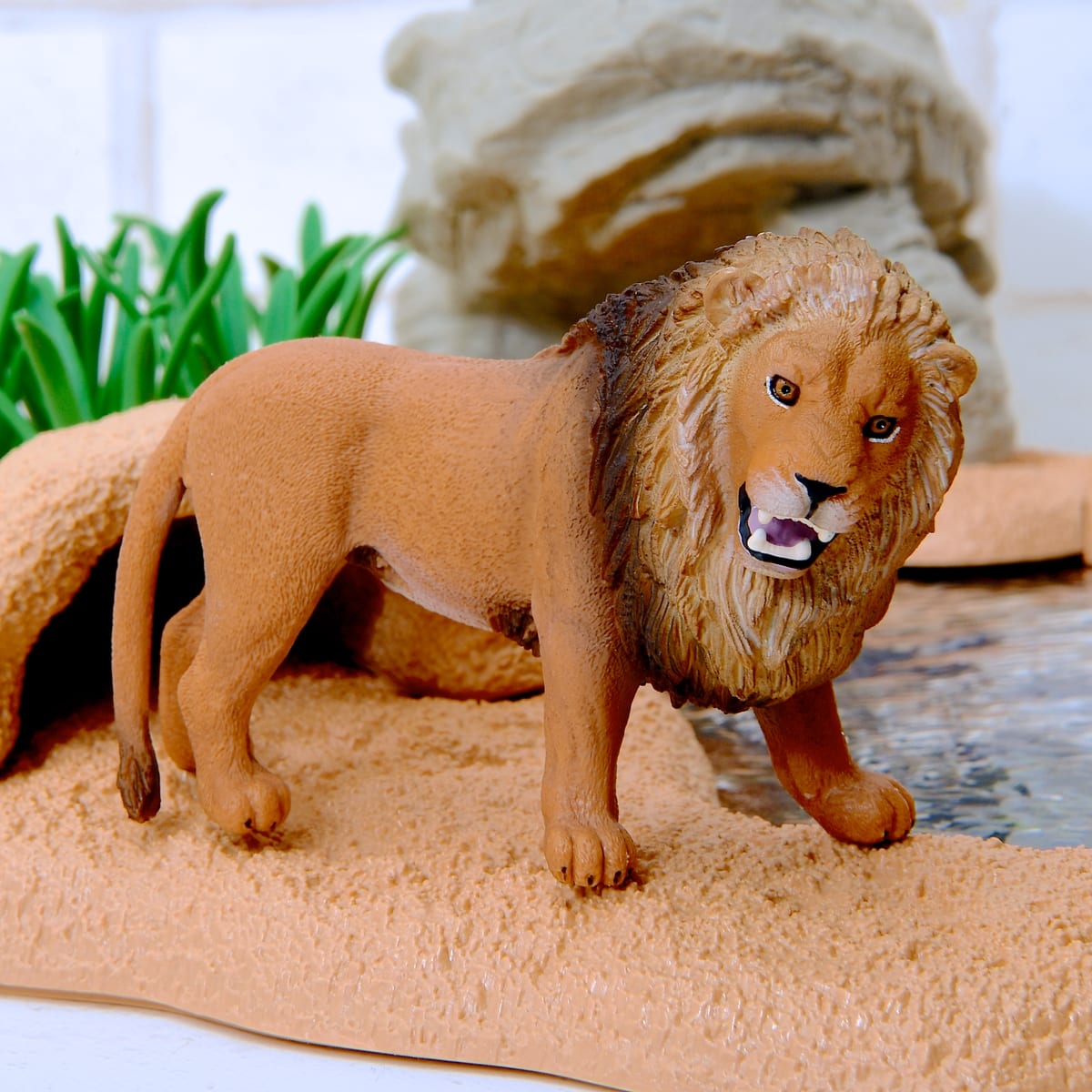 ライオン（吠える） Lion, roaring WILD LIFE 14726