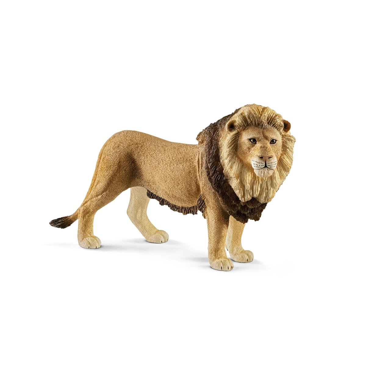 ライオン02