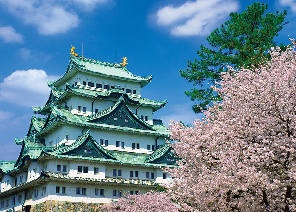 名古屋城　桜の季節（愛知）