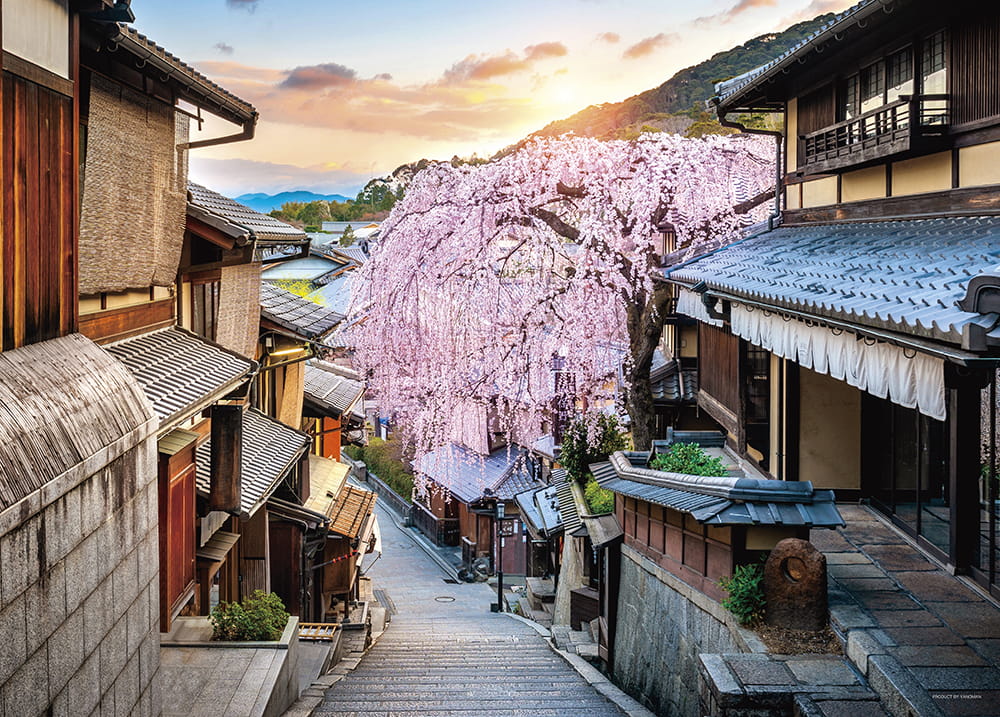 夕日としだれ桜（京都）
