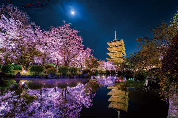 やのまん　ジグソーパズル　KAGAYA　月夜に咲く（京都）
