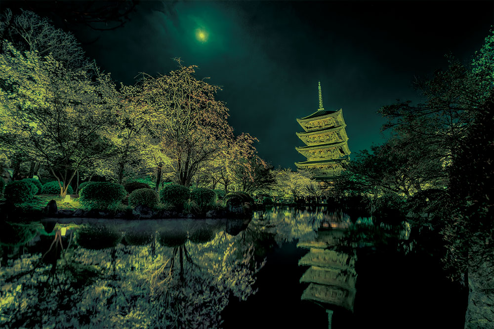 月夜に咲く（京都）２