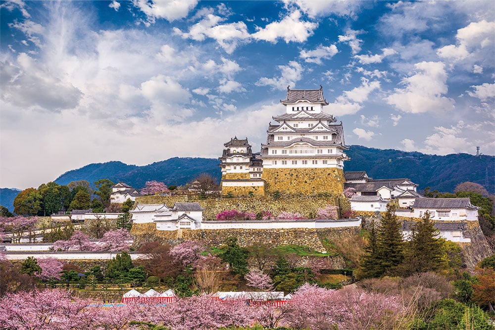 桜咲く姫路城（兵庫）