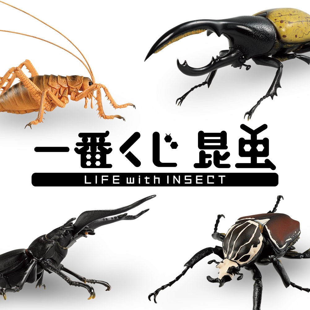 BANDAI SPIRITS「一番くじ 昆虫 LIFE with INSECT」