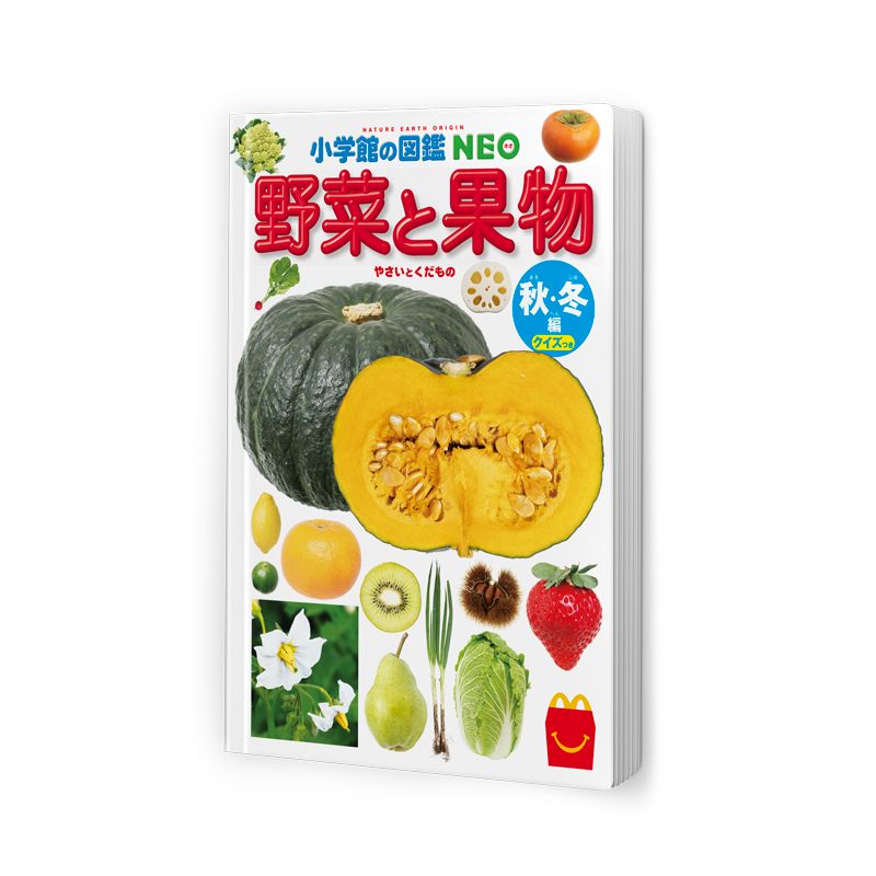ミニ図鑑 野菜と果物 秋 冬編 表紙 Dtimes