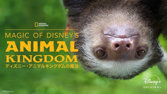 『Magic of Disney’s Animal Kingdom ディズニー･アニマルキングダムの魔法』