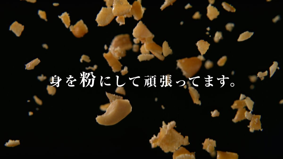 亀田の柿の種公式キャラクター たねっち&ぴーなっちが身を粉にして頑張っちゃう!衝撃の動画　3