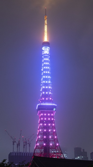 東京タワーをキキ&ララ色に点灯！