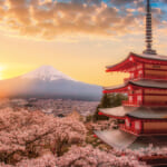 コンパクト1000ピース　春暁の富士山と桜（山梨）