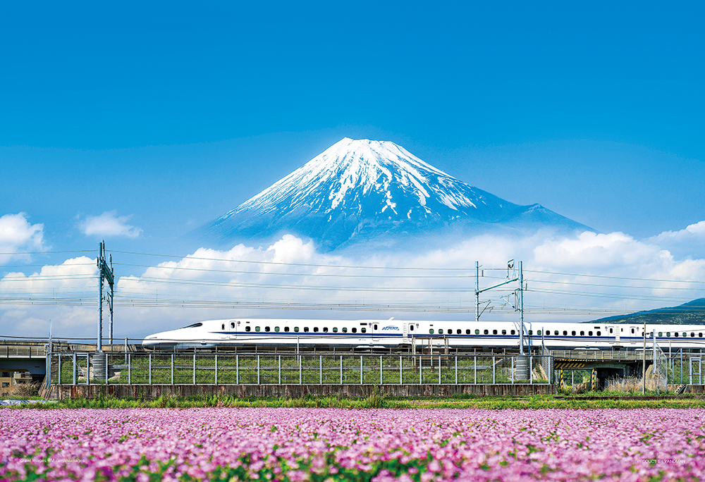 コンパクト500ピース　れんげの花と富士山（静岡）