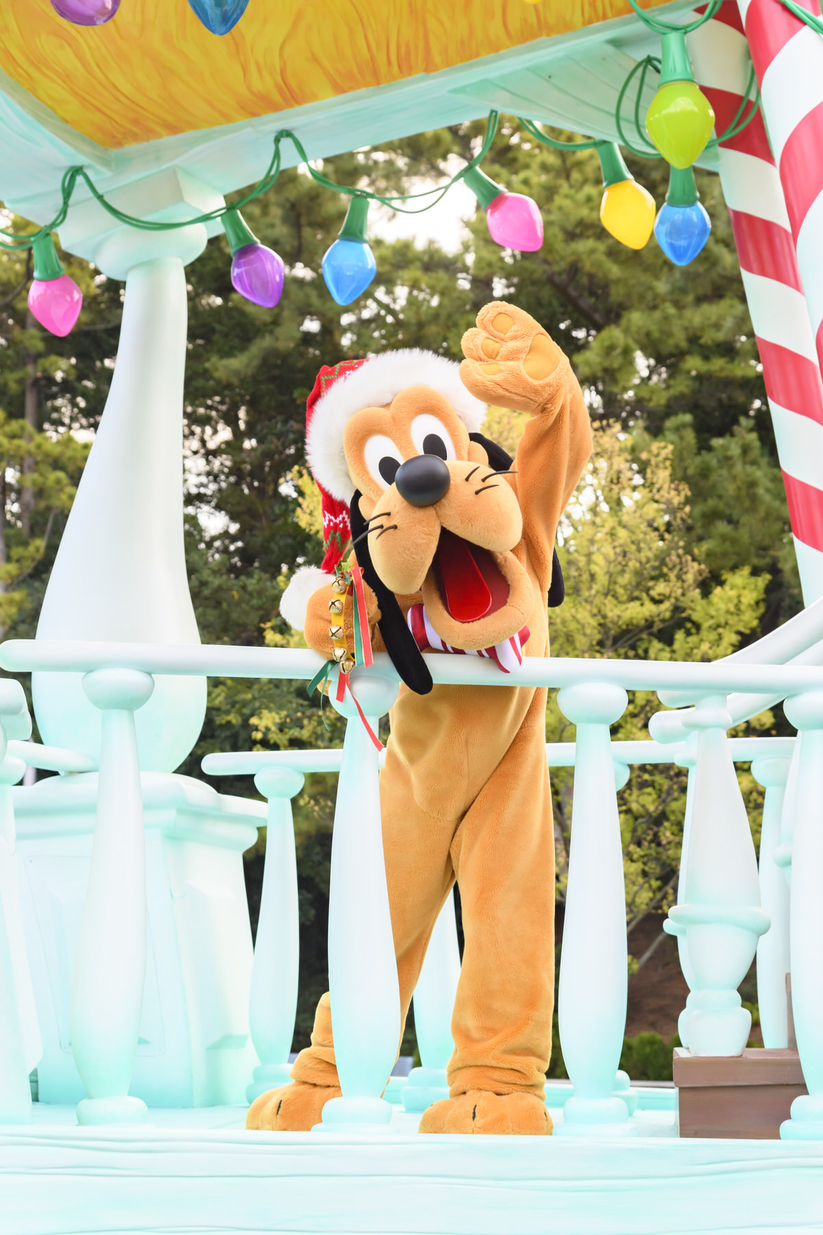 東京ディズニーランド「ミッキー＆フレンズのグリーティングパレード：ディズニー・クリスマス」プルート2