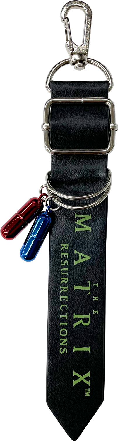 IKE246-Keyholder