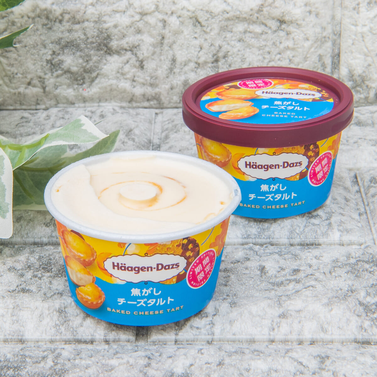 ハーゲンダッツ ミニカップ「焦がしチーズタルト」2