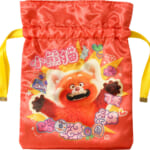 IG3803-drawstring-pouch_front