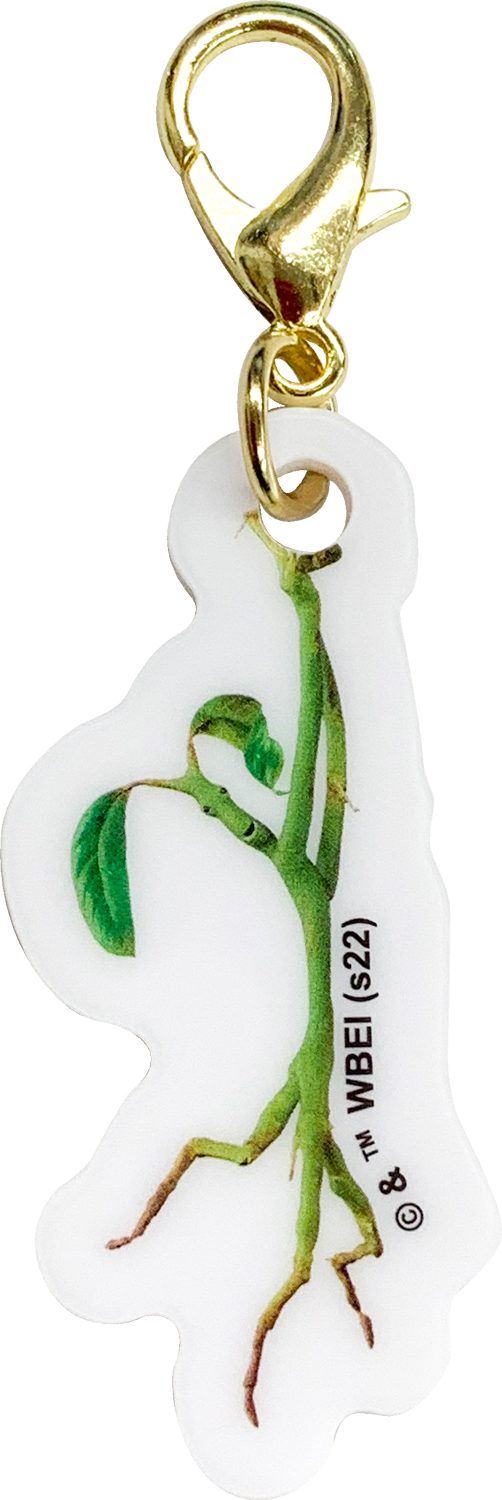 IG3835-Smartphone-Ring_charm