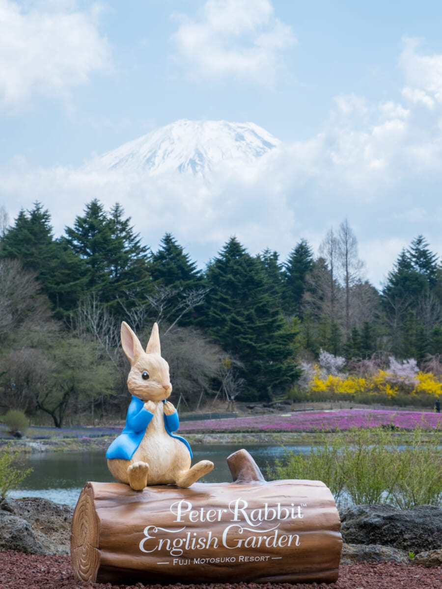 ピーターラビット イングリッシュガーデン1