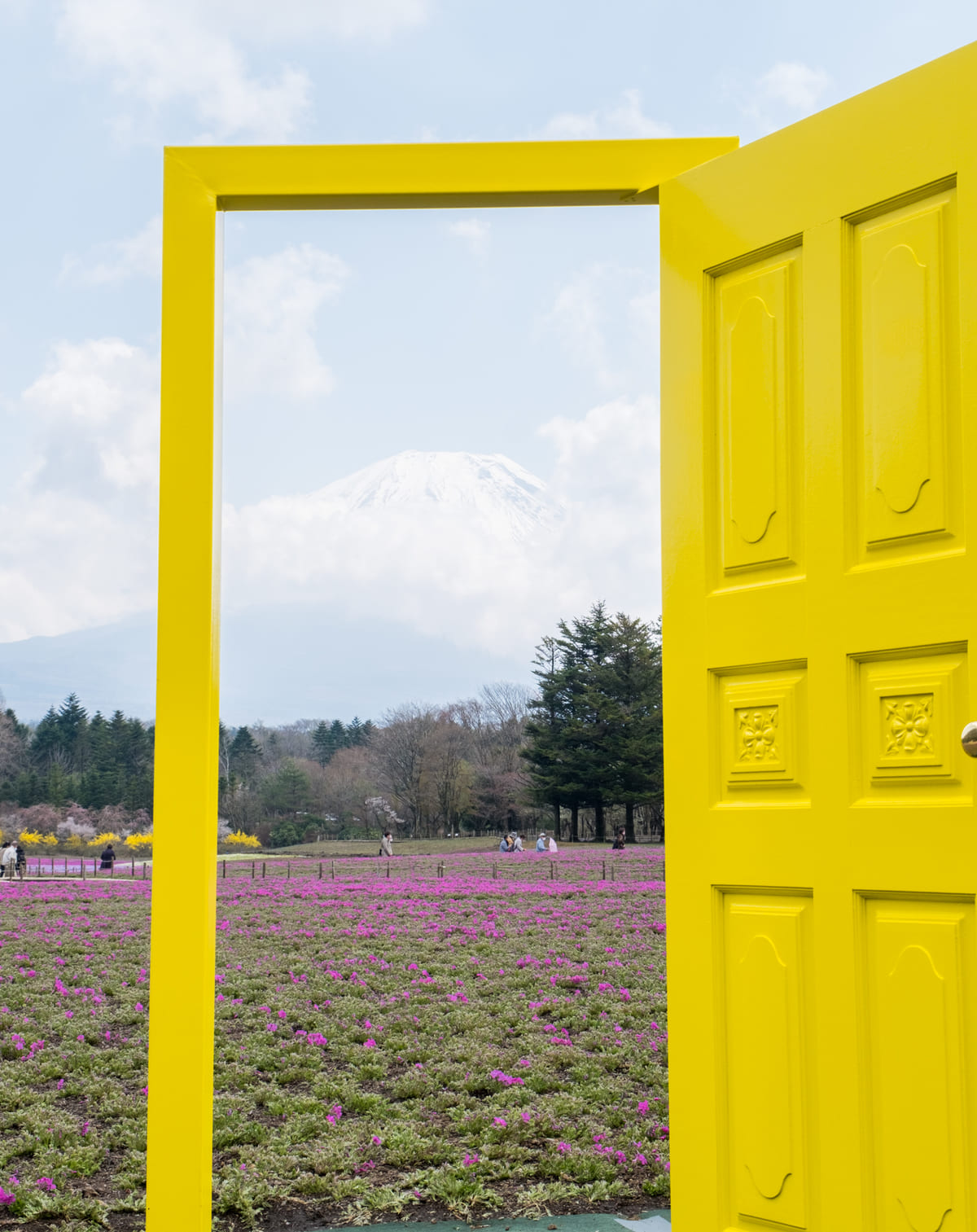 芝桜幸せの黄色い扉