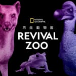 MIYASHITA PARK「ディズニー・プラネット・ポッシブル」REVIVAL ZOO 再生動物園