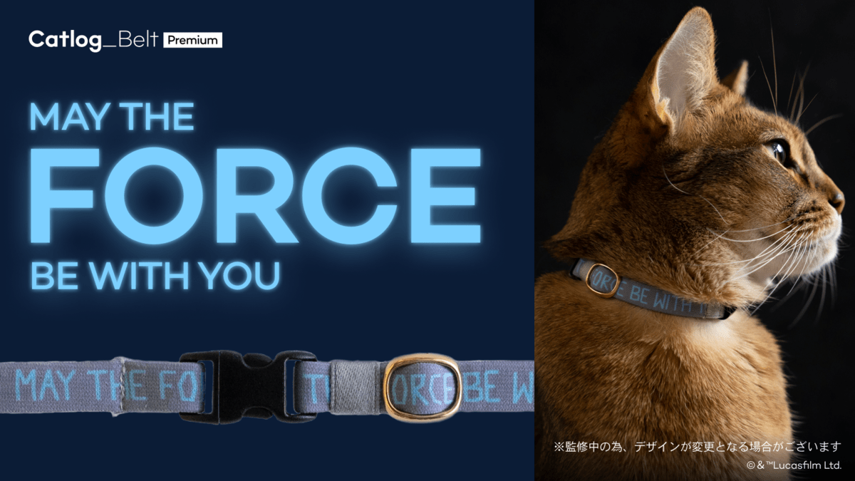 Catlog「STAR WARS」ベルト「May the Force be with you」デザイン