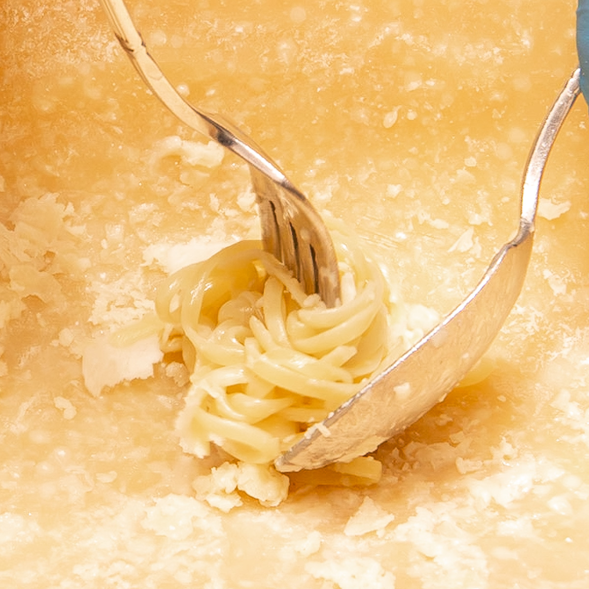 イタリア産チーズを絡めて仕上げる生パスタ