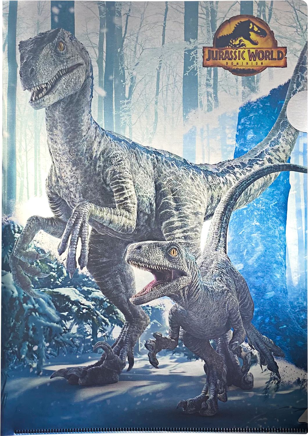 IG3908-MetallicClearFile1