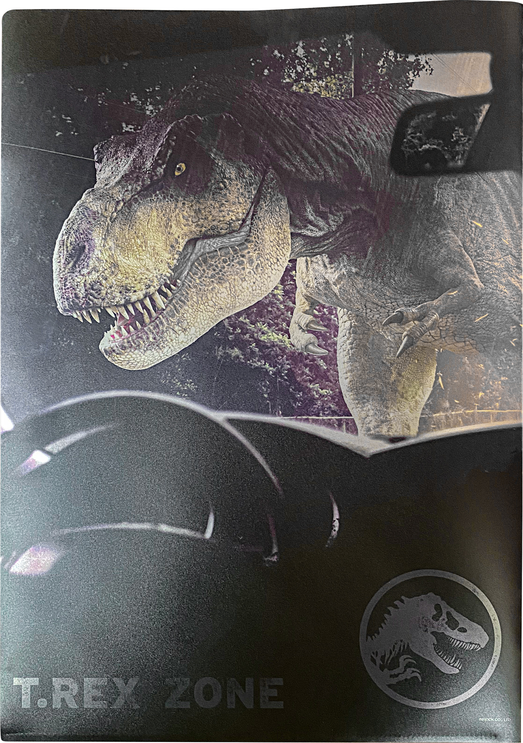 IG3908-MetallicClearFile2