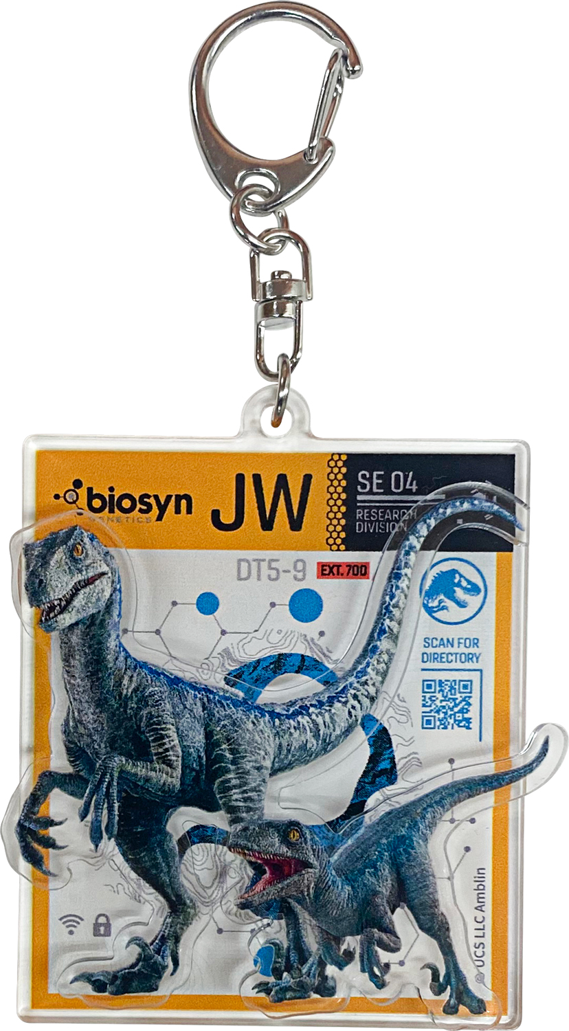 IKE273-AcrylicKeyRing1