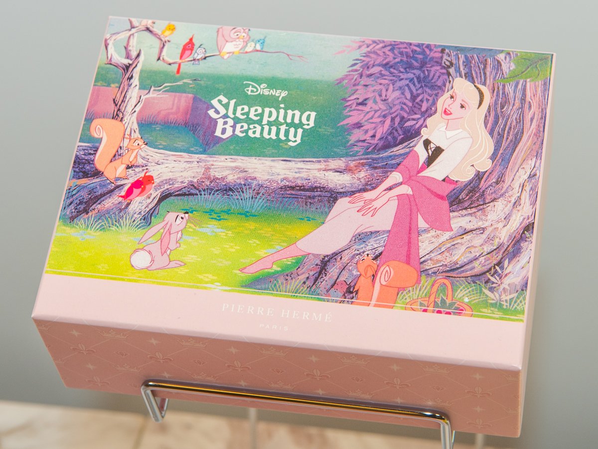 3回目 11月：『眠れる森の美女』 オーロラ姫デザイン