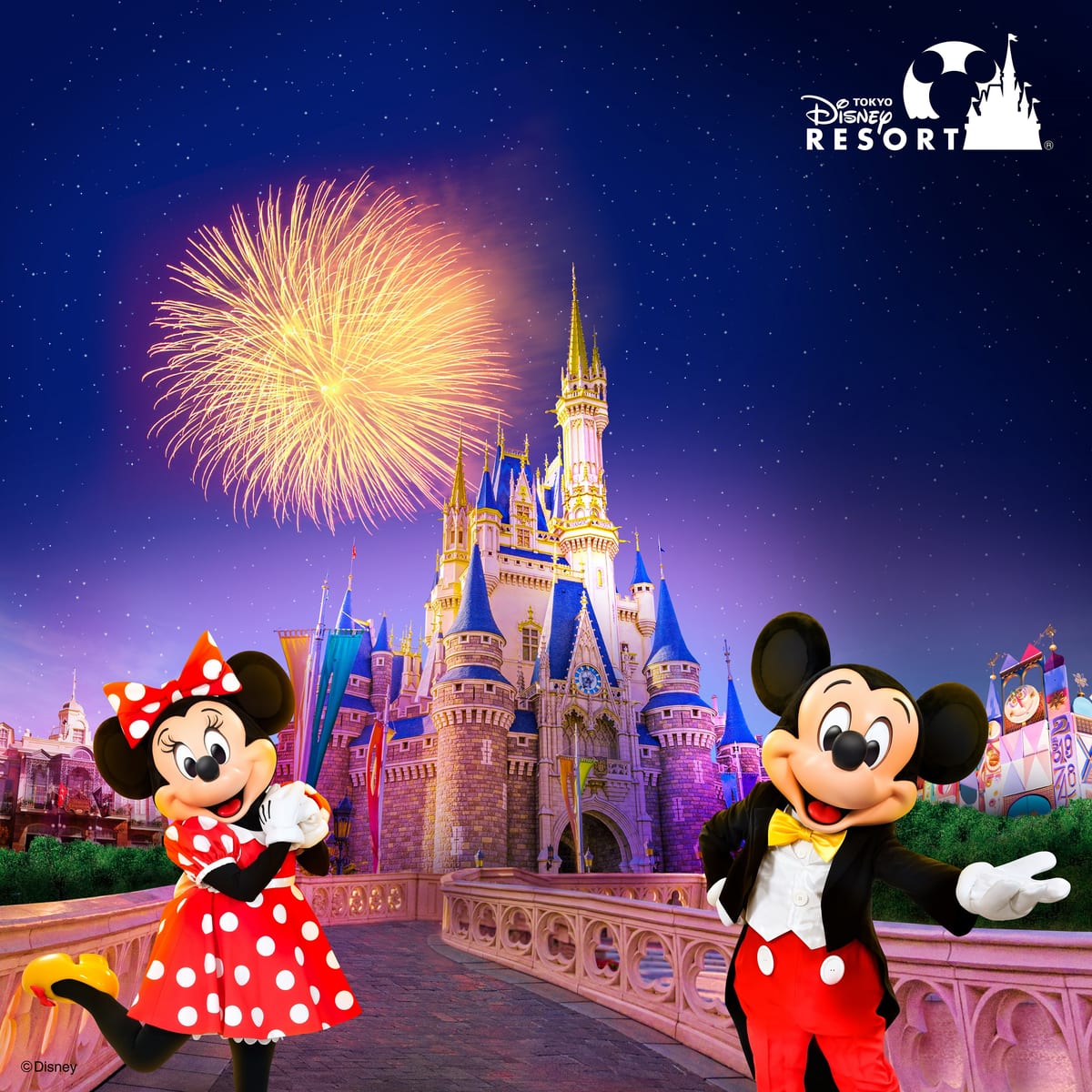 B賞 貸切ナイトご招待コース Dtimes