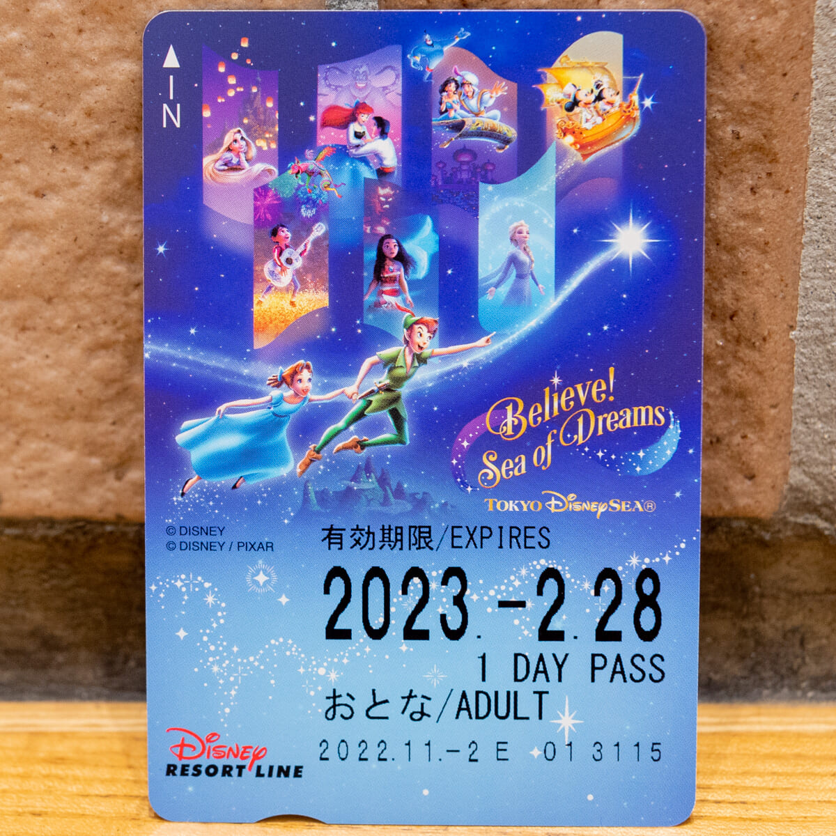 ディズニーリゾートライン「ビリーヴ！〜シー・オブ・ドリームス〜」フリーきっぷ撮影