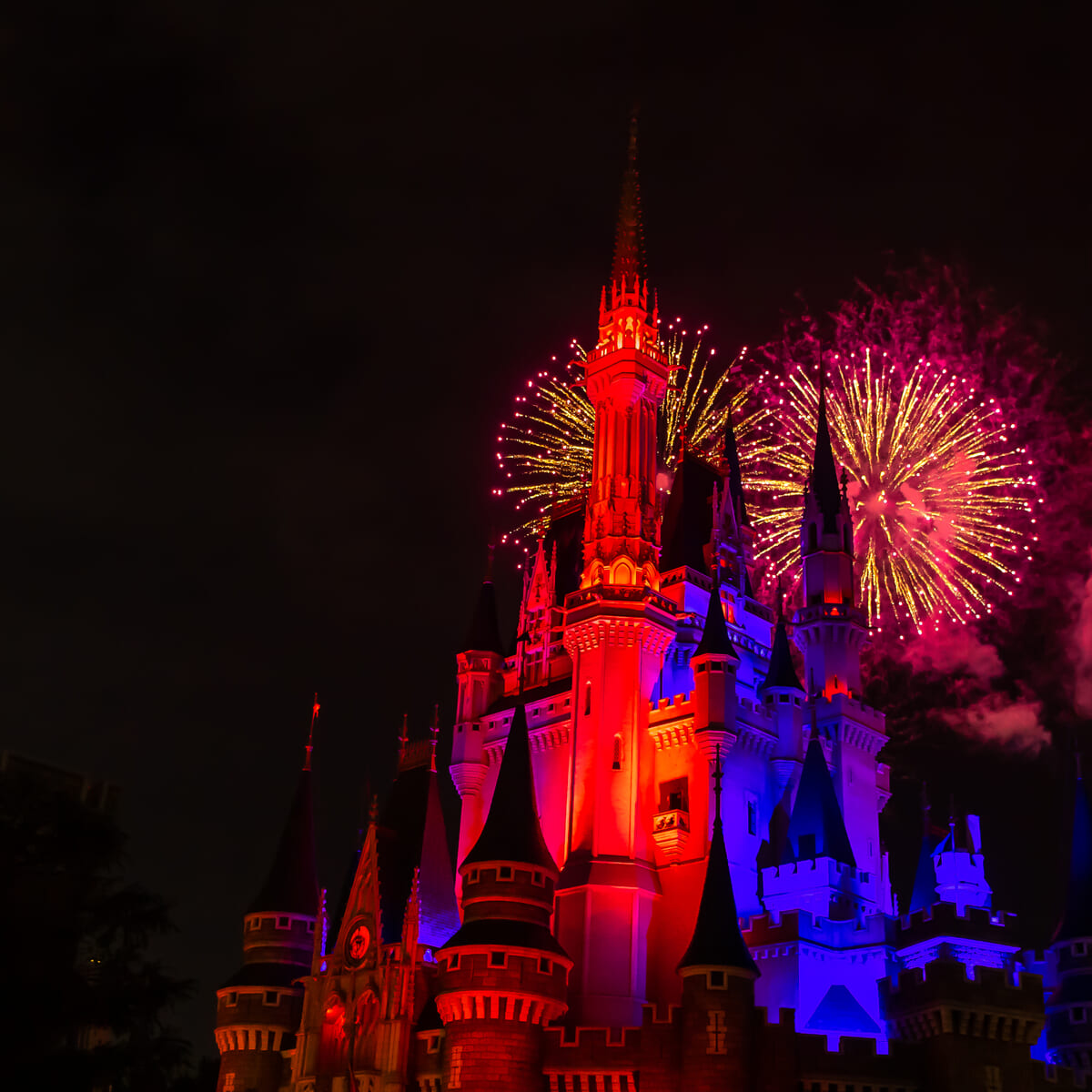 東京ディズニーリゾート 夜空 花火 カーテン - カーテン